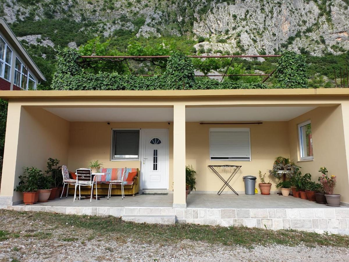 Apartment Jelena Kotor Zewnętrze zdjęcie
