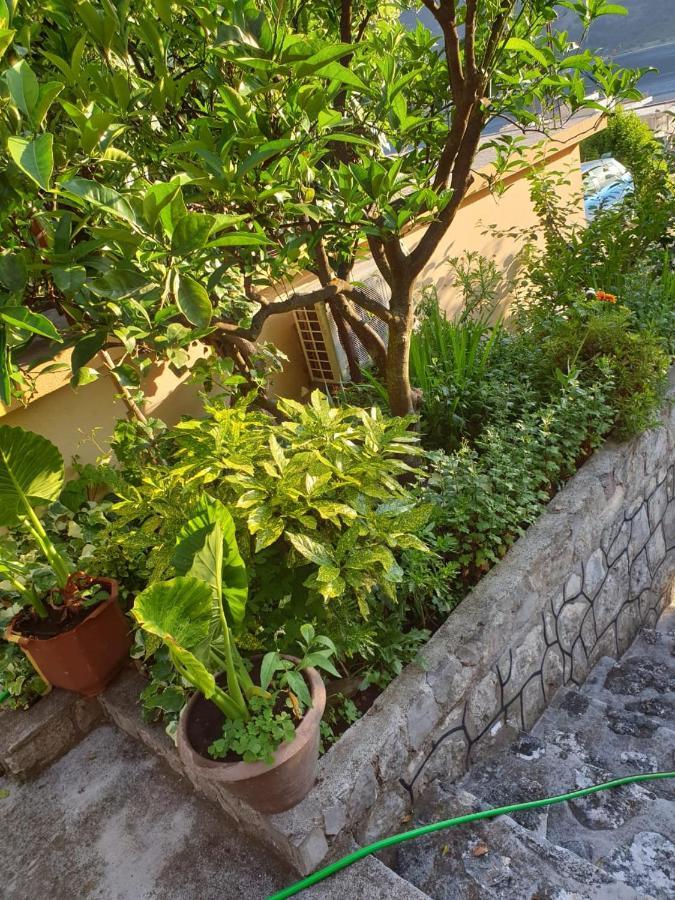Apartment Jelena Kotor Zewnętrze zdjęcie